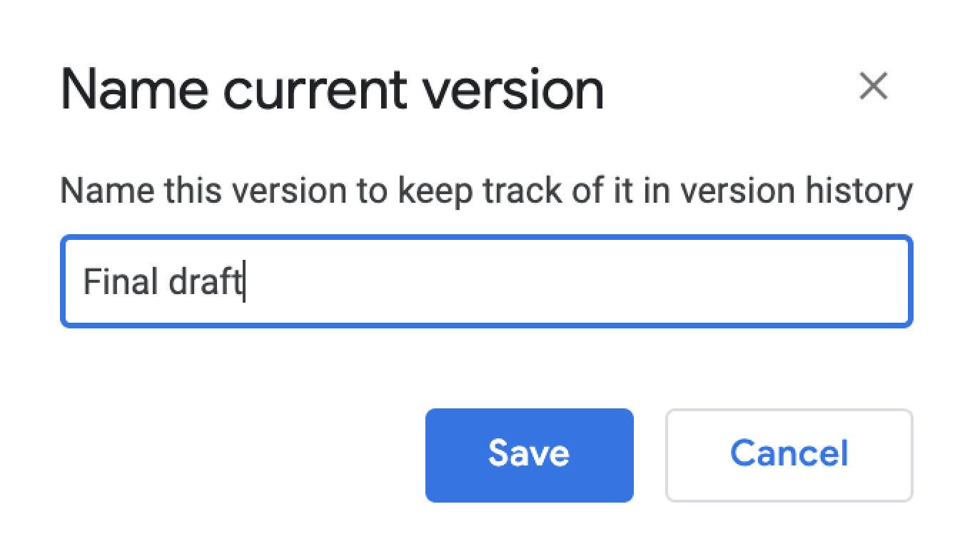 Google Docs version history name.